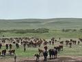 Ауыл шаруашылығы · 1600 м², бағасы: 61 млн ₸ в Абае