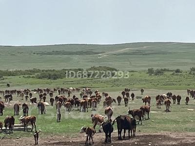 Ауыл шаруашылығы · 1600 м², бағасы: 61 млн ₸ в Абае