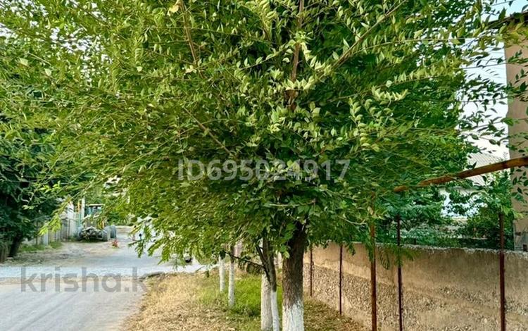 Отдельный дом · 3 комнаты · 75 м² · 7 сот., Г. Шойынбаева 1291 — Мынарал за 20 млн 〒 в Шымкенте, Каратауский р-н — фото 13