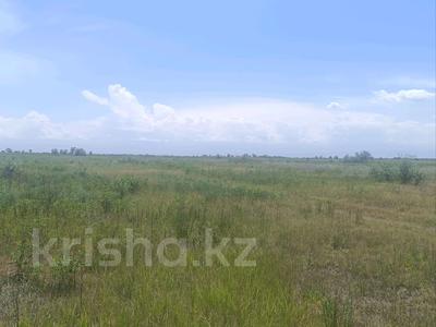 Участок · 9 га, 43.718292, 77.209119 за 8 млн ₸ в Нура