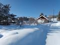 Дача · 2 комнаты · 42 м² · 20 сот., 3-й массив, улица 12а 41 за 4.7 млн ₸ в Новой бухтарме — фото 6