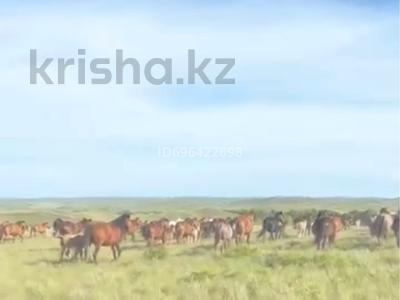 Крестьянское хозяйство · 100000 м² за ~ 1.1 млрд 〒 в Актобе