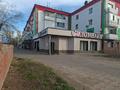 Магазины и бутики · 407 м² за 150 млн ₸ в Аксу — фото 2