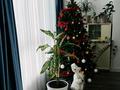 3-бөлмелі пәтер · 70 м² · 3/5 қабат, 5-ш/а. 10, бағасы: 27.2 млн ₸ в Актау, 5-й мкр — фото 6