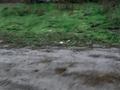 Участок · 6 соток, мкр Жас Канат — ПК. Конаев за 25 млн ₸ в Алматы, Турксибский р-н — фото 4