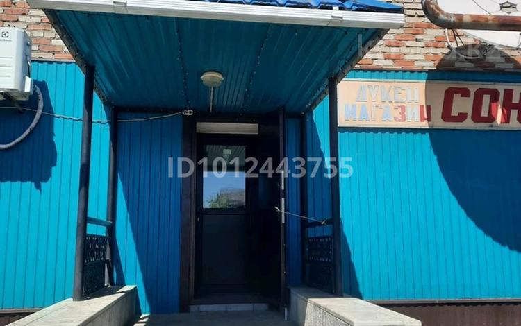 Магазин союз 1 · 54 м², бағасы: 11 млн ₸ в Карабалыке — фото 2
