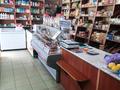 Магазин союз 1 · 54 м², бағасы: 11 млн ₸ в Карабалыке — фото 3