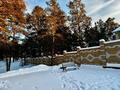 Жеке үй · 7 бөлме · 1309.7 м² · 20 жүзд., Боровой заезд 7/1, бағасы: 250 млн ₸ в Семее — фото 5