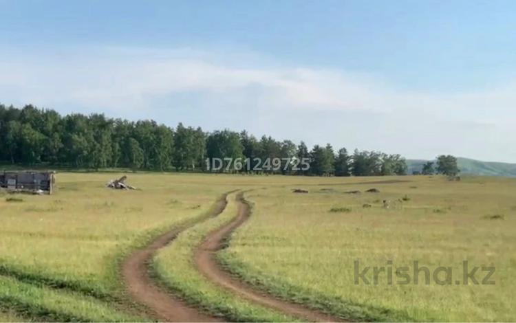 Участок · 16 соток, Участок 320 — Магазин Сауле за 3 млн ₸ в Кокшетау — фото 8
