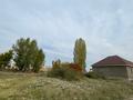 Участок · 10 соток, Байтерек 37 за 6.5 млн ₸ в Гродеково — фото 3