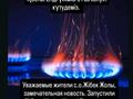 Отдельный дом · 6 комнат · 184 м² · 16 сот., Гумилёва 32 за 40 млн ₸ в Жибек Жолы — фото 7