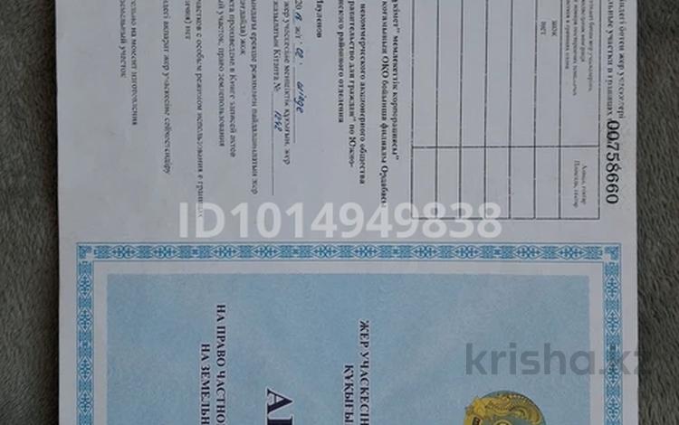 Жер телімі · 12 сотық, Алтай 21, бағасы: 6 млн ₸ в Шубарсу — фото 6