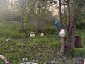 Часть дома · 4 комнаты · 80 м² · 32 сот., Бирлик 86 — Центральная улица за 14.5 млн ₸ в Арайлы — фото 5