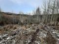 Жер телімі · 12 сотық, Усть-Каменогорск, бағасы: 500 000 〒 — фото 18