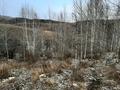 Жер телімі · 12 сотық, Усть-Каменогорск, бағасы: 500 000 〒 — фото 19