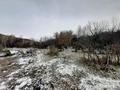 Жер телімі · 12 сотық, Усть-Каменогорск, бағасы: 500 000 〒 — фото 37