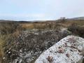 Жер телімі · 12 сотық, Усть-Каменогорск, бағасы: 500 000 〒 — фото 43