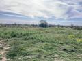 Участок · 8 соток, мкр Байтерек за 17 млн ₸ в Таразе — фото 3