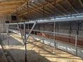 Жеке үй · 6 бөлме · 200 м² · 20 жүзд., Әсіларық, бағасы: 45 млн ₸ в Асиларык — фото 32