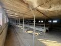 Жеке үй · 6 бөлме · 200 м² · 20 жүзд., Әсіларық, бағасы: 45 млн ₸ в Асиларык — фото 40