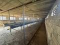 Жеке үй · 6 бөлме · 200 м² · 20 жүзд., Әсіларық, бағасы: 45 млн ₸ в Асиларык — фото 42