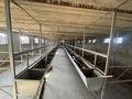 Жеке үй · 6 бөлме · 200 м² · 20 жүзд., Әсіларық, бағасы: 45 млн ₸ в Асиларык — фото 43