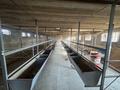 Жеке үй · 6 бөлме · 200 м² · 20 жүзд., Әсіларық, бағасы: 45 млн ₸ в Асиларык — фото 44