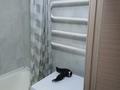 2-бөлмелі пәтер · 52.3 м² · 4/9 қабат, Пермитина 11 — TЦ «ADK River “, бағасы: 25 000 ₸ в Усть-Каменогорске, Ульбинский — фото 10