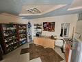 11 комнат · 420 м², Кармысова 82 — Курмангазы за 4 000 〒 в Алматы, Медеуский р-н — фото 3