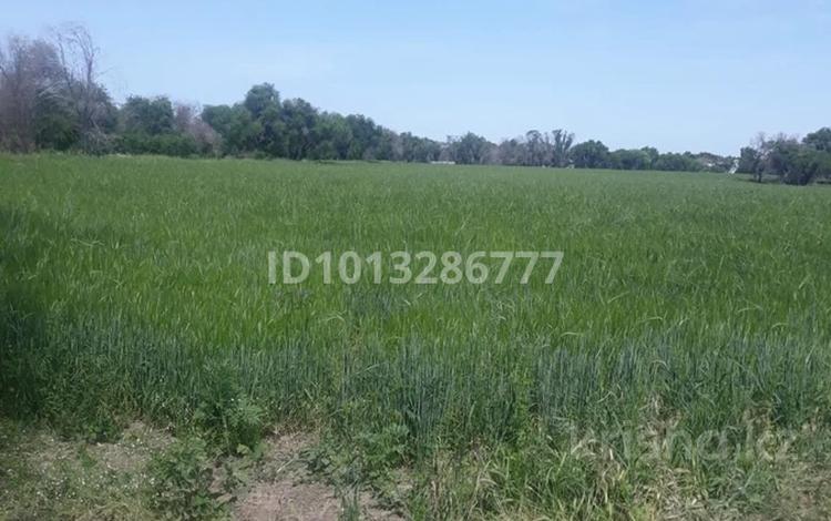 Өнеркәсіптік база · 635 сотық, Садовая 11г., бағасы: 27 млн ₸ в Алматы, Алатауский р-н — фото 4
