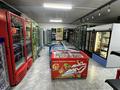 Магазины и бутики · 240 м² за 250 000 ₸ в Шымкенте — фото 3