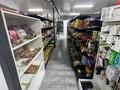 Магазины и бутики · 240 м² за 250 000 ₸ в Шымкенте — фото 7