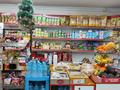 Магазины и бутики · 36 м² за 45 млн ₸ в Алматы, Жетысуский р-н — фото 5