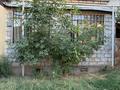 2-комнатная квартира · 41.9 м² · 1/5 этаж, Райымбека 206а — Райымбека Ауэзова за 25 млн ₸ в Алматы — фото 5