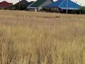 Жер телімі · 5 сотық, Комсомол, бағасы: 5.5 млн ₸