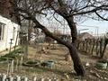 Отдельный дом · 5 комнат · 110 м² · 11 сот., Тойбаева за 20 млн ₸ в  — фото 4