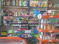Магазины и бутики • 280 м² за 46 млн 〒 в Талгаре — фото 2