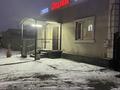 Жеке үй · 6 бөлме · 200 м² · 10 жүзд., ул. Карима Нурбаева 163, бағасы: 160 млн ₸ в Семее, Красный Кордон — фото 12