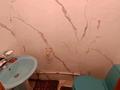 Отдельный дом · 4 комнаты · 99.9 м² · 10 сот., Косанова 58 — Сзади цума за 18 млн ₸ в Семее — фото 12