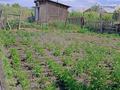 Отдельный дом · 4 комнаты · 99.9 м² · 10 сот., Косанова 58 — Сзади цума за 18 млн ₸ в Семее — фото 21