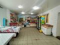 Магазины и бутики, общепит • 133 м² за 25.5 млн 〒 в Бишкуле — фото 3