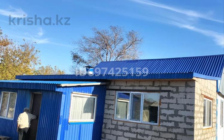 Отдельный дом · 4 комнаты · 100 м² · 25 сот., Андреевка за 16 млн ₸ в Шортандах — фото 2