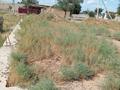 Участок · 10 соток, Тауелсиздик — Рядом городская больница за 4 млн ₸ в Приозёрске