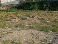 Жер телімі 8 сотық, Аксай саялы, бағасы: 17 млн 〒 в Кыргауылдах — фото 2