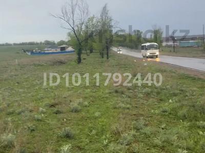 Участок · 3 га, Турар за 55 млн ₸