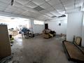 Свободное назначение, магазины и бутики · 467.5 м² за 35 млн ₸ в Павлодаре — фото 13