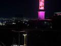 Дача · 1 комната · 50 м², мкр Коктобе 75А за 75 000 ₸ в Алматы, Медеуский р-н — фото 3