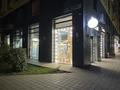 ЦВЕТОЧНЫЙ САЛОН SILVA PINK · 54 м² за 5 млн ₸ в Астане, Есильский р-н — фото 2