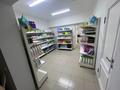 Свободное назначение · 80 м² за 400 000 ₸ в Алматы, Алатауский р-н — фото 7