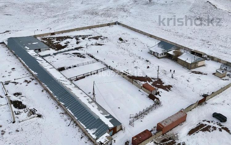 Сельское хозяйство · 2000 м² за ~ 260 млн ₸ в Конаеве — фото 2